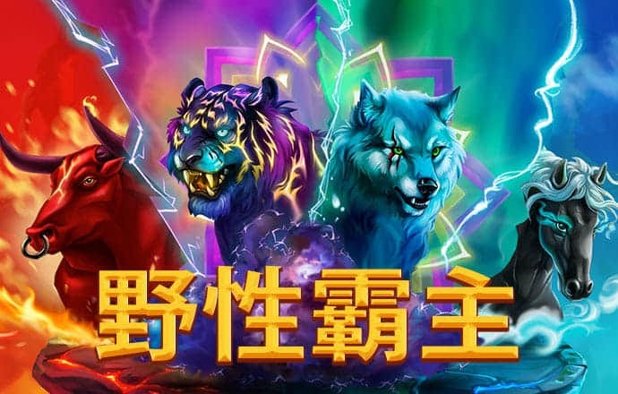 幸运彩票app最新版官网